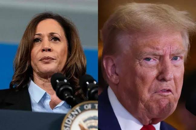 JUST IN : Kamala Harris knew what Trump was, she warned everyone, and y'all accused her of overreacting. Raise your hand if you agree Kamala Harris would have been 1000X better than Trump ✋