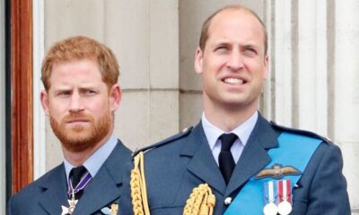 "EXCLUSIVE: Prince Harry Outpaces Brother William in Royal Inheritance - Exclusive Financial Insights Revealed"