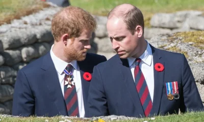 Ex-Royal Assistant Insists There’s No Way Back for ‘Outcast’ Prince Harry as Prince William Has ‘Drawn a Line in the Sand’