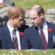 Ex-Royal Assistant Insists There’s No Way Back for ‘Outcast’ Prince Harry as Prince William Has ‘Drawn a Line in the Sand’