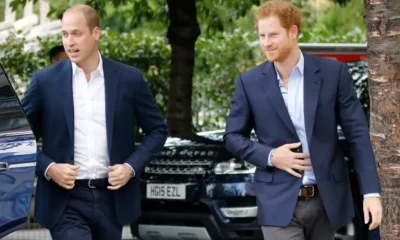 "Prince Harry Takes Positive Steps to Mend Relationship with Brother and the Entire Royal Family, Despite Challenges with Wife Meghan Markle "