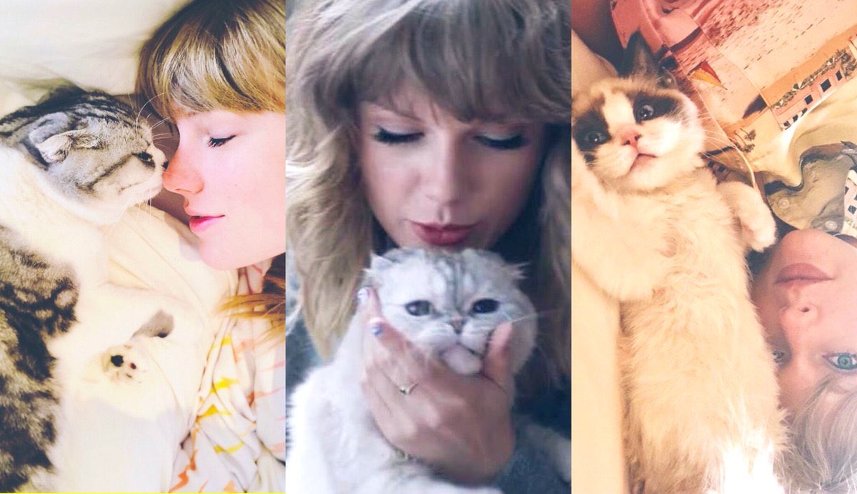 Taylor Swift's Cats: All About Meredith Grey, Olivia Benson and Benjamin Button, And How They Are Living The Best Life : She Also addresses Critics, Stating, ‘Stop Criticizing Me For Splashing Huge Amount On My Cats, It’s My personal Life, And My Pet Brings Me Joy. I love Having Them Around Me.'”