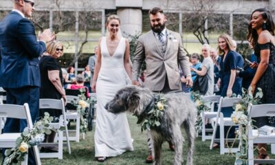 Thank You For Always Loving Me : Kylie Kelce Celebrates 6th Anniversary with Husband Jason, Showering Him with Praise — Including Adorable Pic of Dog as Flower Girl