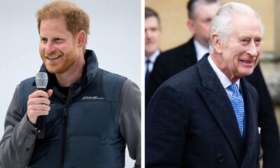 Prince Harry to Meet With King Charles in May — and, Yes, It’ll Be ‘Short and Formal’ Like Last Time
