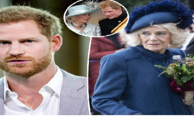 Prince Harry goes viral with scathing two-word remark about Queen Camilla