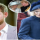 Prince Harry goes viral with scathing two-word remark about Queen Camilla