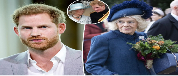 Prince Harry goes viral with scathing two-word remark about Queen Camilla