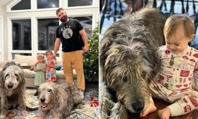 Pregnant Kylie Kelce and Jason Kelce are navigating the loss of their Irish woldhound Baloo, who died one year after the death of their dog Winnie...