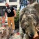 Pregnant Kylie Kelce and Jason Kelce are navigating the loss of their Irish woldhound Baloo, who died one year after the death of their dog Winnie...