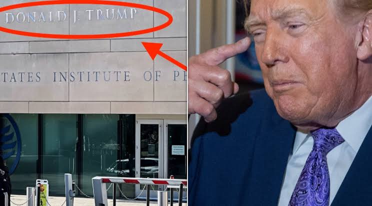 President Donald’s name has been emblazoned on the side of the building that houses the U.S. Institute of Peace, sparking mockery, and criticism that it’s a dictator-like thing to do, on social media...