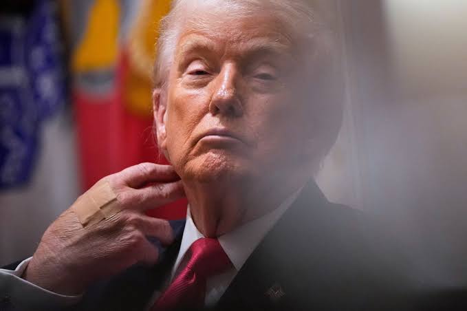 Donald Trump has spent his entire career mocking people — their looks, their intelligence, their weight, their voices, anything he can weaponize. And it’s gotten even worse over the last month as he’s ramped up attacks on women reporters who challenge him.