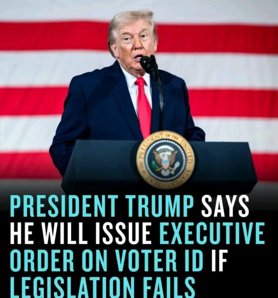 President Trump has just issued a massive warning to the radical left: there WILL be Voter ID for the midterms, whether Congress likes it or not! Trump is finished with the Democrats’ games and is preparing an executive order to mandate photo ID and proof of citizenship