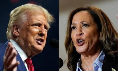JUST IN : Kamala Harris knew what Trump was, she warned everyone, and y'all accused her of overreacting. Raise your hand if you agree Kamala Harris would have been 1000X better than Trump ✋