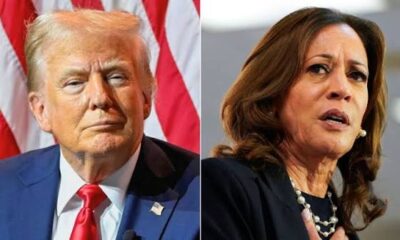 Do you believe Kamala Harris would be doing a far better job than Donald Trump if she were president right now ✋ Read more below 👇🏾👇🏾👇🏾